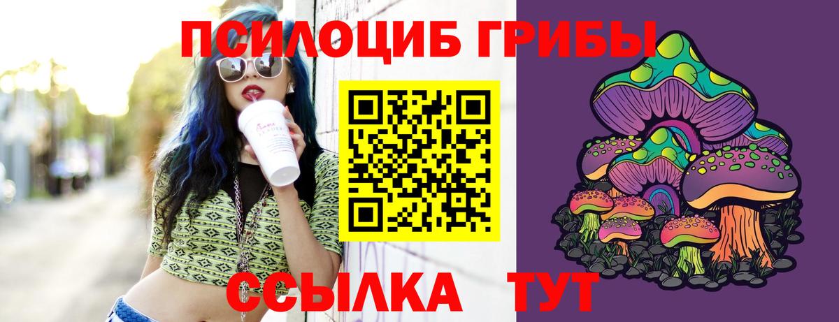 Псилоцибиновые грибы мицелий  Вход с VPN  Наро-Фоминск 